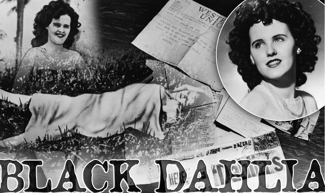 Neverending: The Mystique of the Black Dahlia